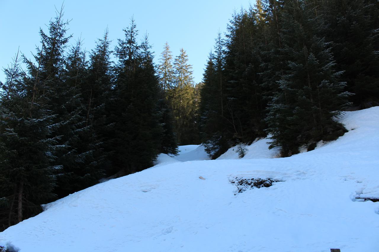 Hotel Berloga-Sinevir Synevyrsʼka Polyana Buitenkant foto